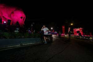 BIB: 
                            <button type="button" onclick="openModal(26552587)" class="btn btn-primary btn-sm float-right btn-popup" data-toggle="modal" data-target=".modal-high-quality">
                        <i class="fas fa-shopping-cart"></i> Add to Cart
                    </button>
                                            <button type="button" onclick="isThisMe(26552587, true)" class="btn btn-success btn-sm float-right btn-popup btn-isme hidden" data-toggle="tooltip" data-placement="bottom" title="นี่คือรูปของคุณใช่ไหม คลิกที่นี่เพื่อเอาเข้าอัลบั้ม">
                        <i class="fas fa-plus"></i> Add to album
                    </button>
                    <button type="button" onclick="isThisMe(26552587, false)" class="btn btn-warning btn-sm float-right btn-popup btn-isnotme hidden">
                        <i class="fas fa-ban"></i> Remove from album
                    </button>